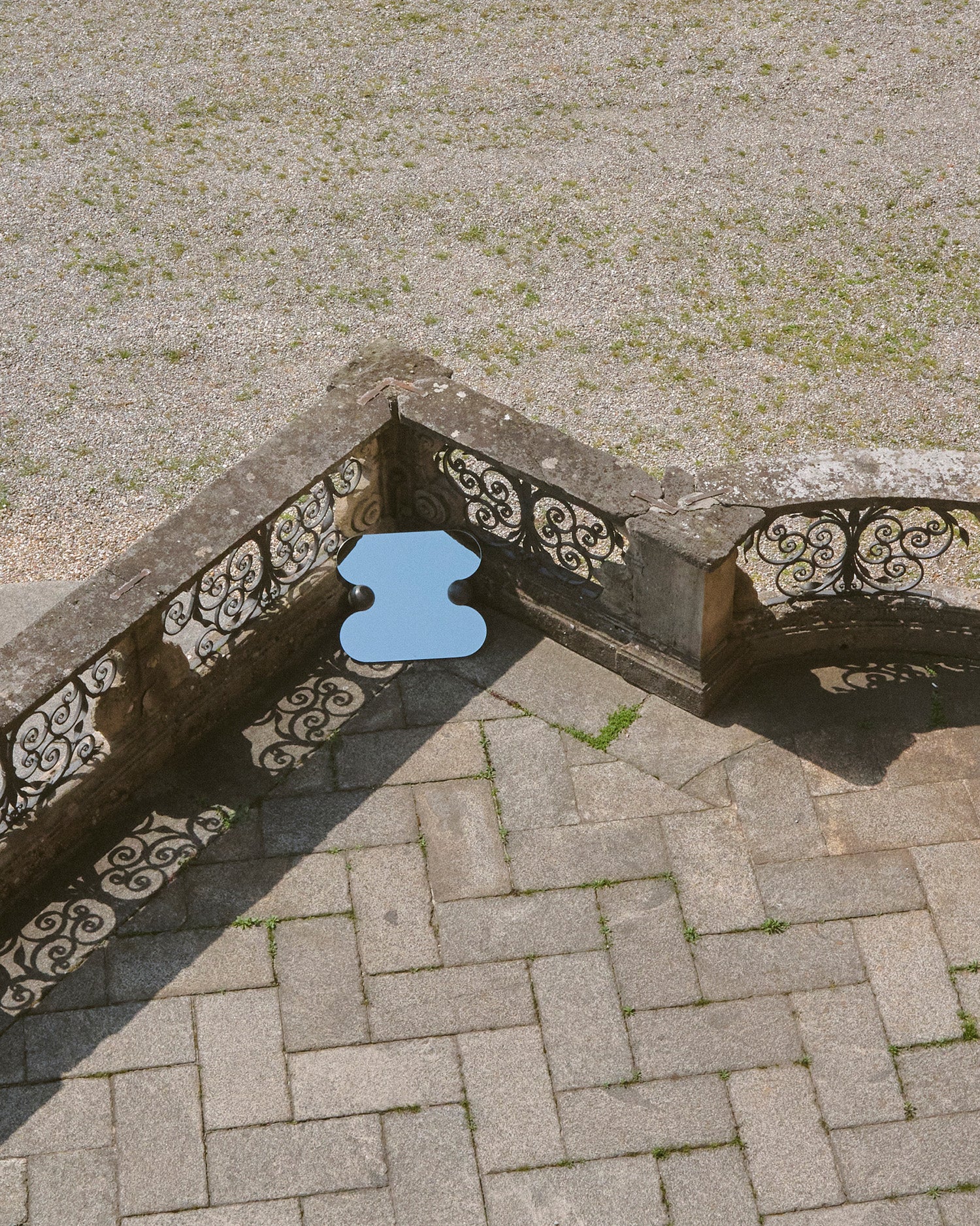 Squeeze - Black Olive