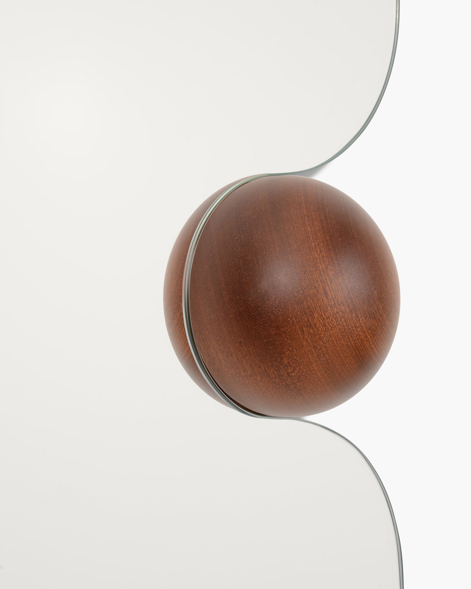 珪化木 超美品 20cm×5cm 625g Big Squeeze Mirror Walnut | Sculptural Wall Mirror | RTH